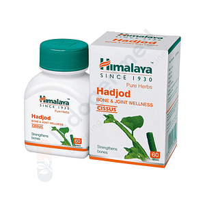 Hadjod